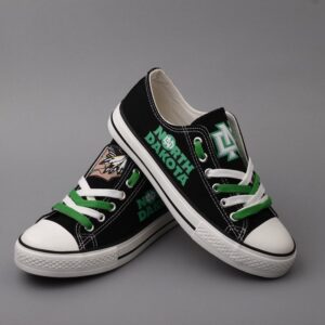 Novelty Design North Dakota Fighting Sioux Shoes Low Top Canvas Shoes