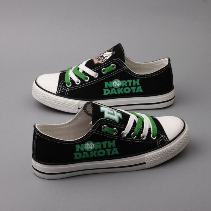 Novelty Design North Dakota Fighting Sioux Shoes Low Top Canvas Shoes